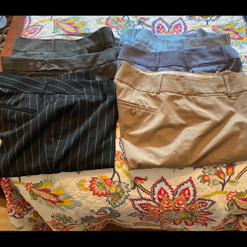 6 pairs of Loft Trouser Pants size 8